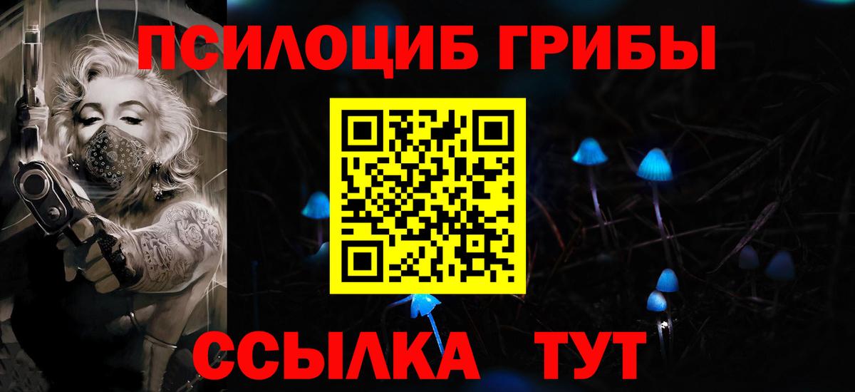 Псилоцибиновые грибы Cubensis Анжеро-Судженск